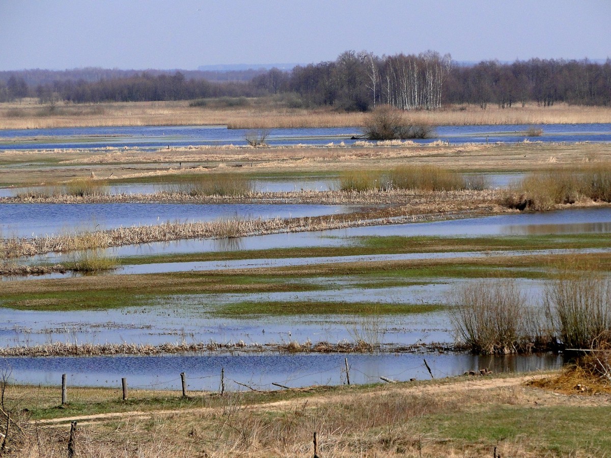 Zdjęcia: Szostaki, Podlasie, Wiosna nad Biebrzą., POLSKA Zdjęcia: Szostaki, Podlasie, Wiosna nad Biebrzą., POLSKA