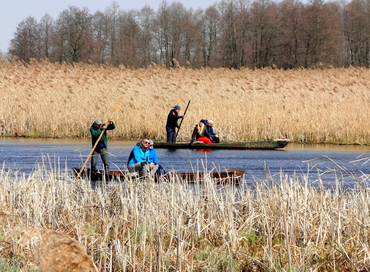 Zdjęcia: Kurowo, Podlasie, Wiosna nad Narwią., POLSKA Zdjęcia: Kurowo, Podlasie, Wiosna nad Narwią., POLSKA