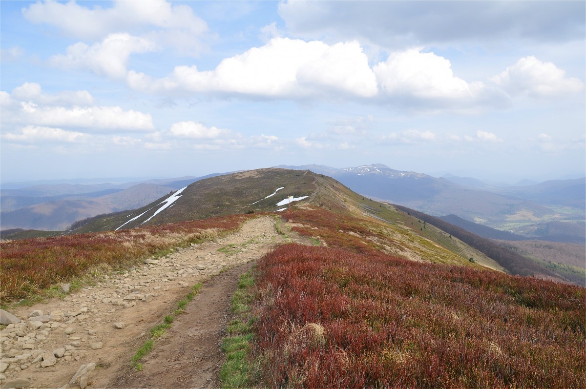 Zdjęcia: Połonina Caryńska, podkarpackie, Połonina Caryńska, POLSKA Zdjęcia: Połonina Caryńska, podkarpackie, Połonina Caryńska, POLSKA