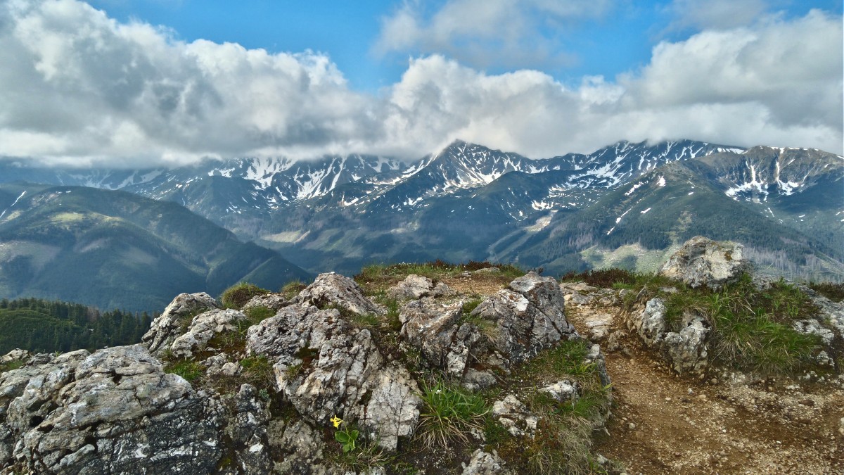 Zdjęcia: na szlaku, Tatry, Tatry zachodnie, POLSKA Zdjęcia: na szlaku, Tatry, Tatry zachodnie, POLSKA