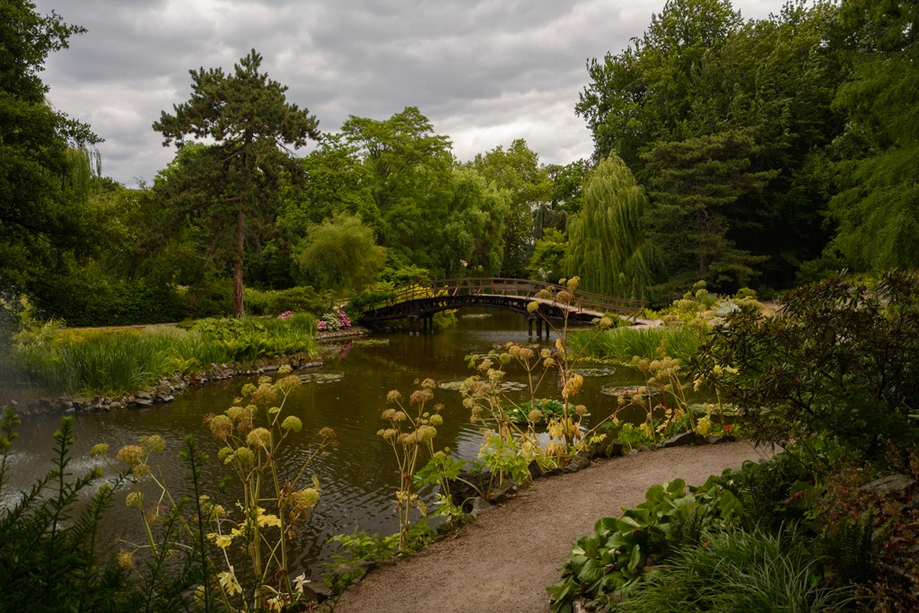 Zdjęcia: Wrocław, woj. dolnośląskie, pocztówki z Wrocławia - Ogród Botaniczny Uniwersytetu Wrocławskiego, POLSKA Zdjęcia: Wrocław, woj. dolnośląskie, pocztówki z Wrocławia - Ogród Botaniczny Uniwersytetu Wrocławskiego, POLSKA