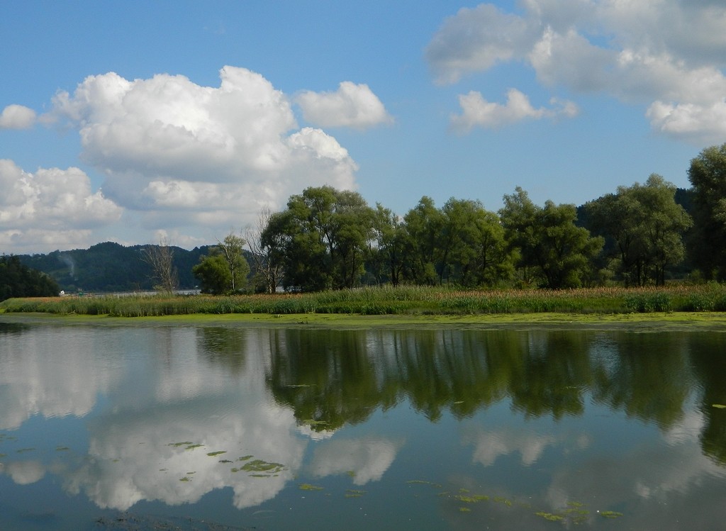 Zdjęcia: Czchów, małopolskie, Nad jeziorem Czchów, POLSKA Zdjęcia: Czchów, małopolskie, Nad jeziorem Czchów, POLSKA