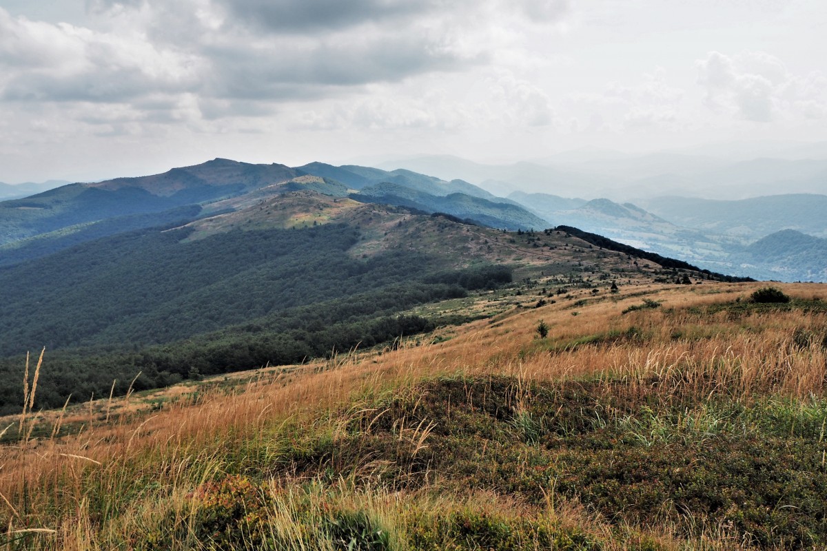 Zdjêcia: na  szlaku : Wo³osate - Halicz -Tarnica- Wo³osate, Bieszczady, poszarza³o..., POLSKA Zdjêcia: na  szlaku : Wo³osate - Halicz -Tarnica- Wo³osate, Bieszczady, poszarza³o..., POLSKA