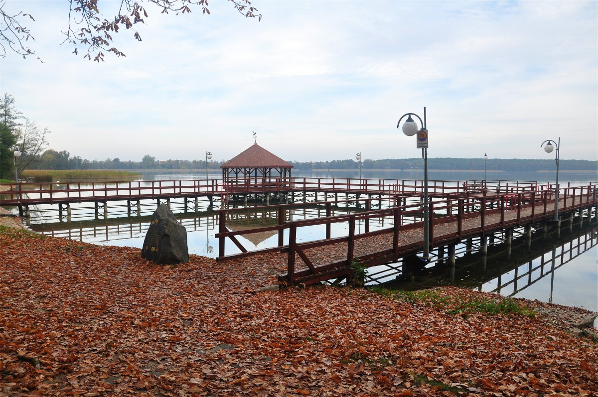 Zdjęcia: Moryń, zachodniopomorskie, Nad Jeziorem Morzycko, POLSKA Zdjęcia: Moryń, zachodniopomorskie, Nad Jeziorem Morzycko, POLSKA