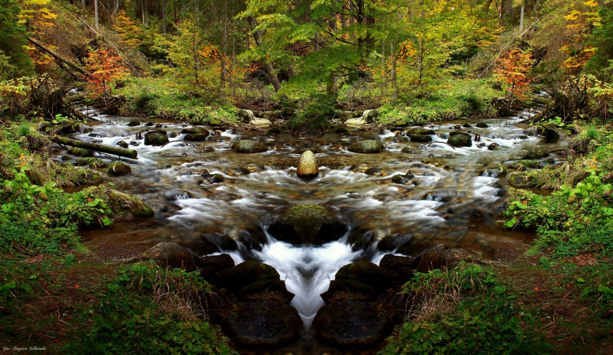 Zdjęcia: Tatrzański Park Narodowy, Zakopane, Jesień w Zakopanem...., POLSKA Zdjęcia: Tatrzański Park Narodowy, Zakopane, Jesień w Zakopanem...., POLSKA