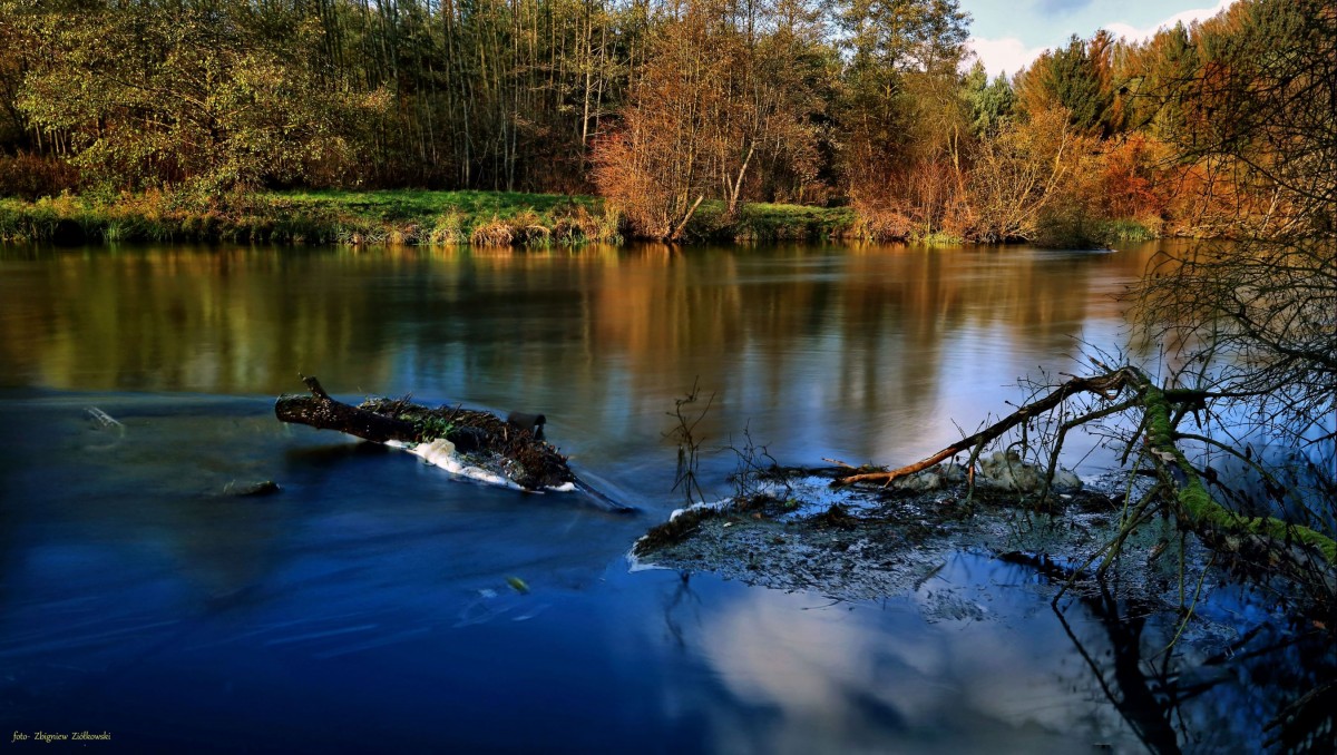 Zdjęcia: Dolina Brdy, Bory Tucholskie, Szlakiem Doliny Brdy., POLSKA Zdjęcia: Dolina Brdy, Bory Tucholskie, Szlakiem Doliny Brdy., POLSKA