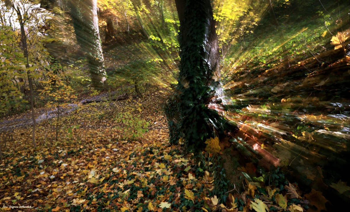 Zdjęcia: Dolina Brdy, Bory Tucholskie, Jesienne impresje, POLSKA Zdjęcia: Dolina Brdy, Bory Tucholskie, Jesienne impresje, POLSKA