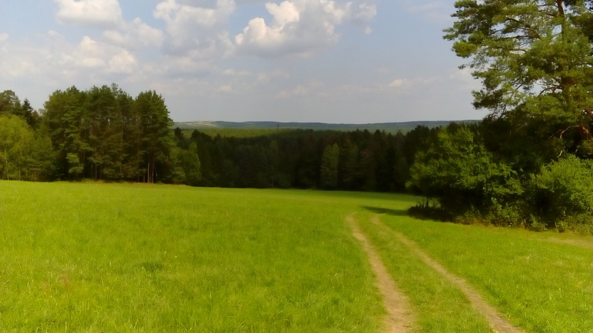 Zdjęcia: Zwierzyniec, Roztocze, Widok z Piasecznej Góry, POLSKA Zdjęcia: Zwierzyniec, Roztocze, Widok z Piasecznej Góry, POLSKA