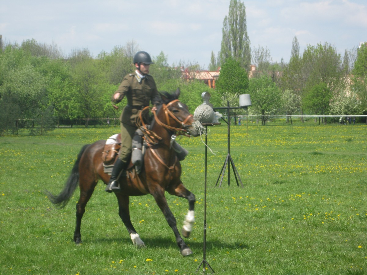 Zdjęcia: Opole, Opole, Święto Wojska Polskiego, POLSKA Zdjęcia: Opole, Opole, Święto Wojska Polskiego, POLSKA