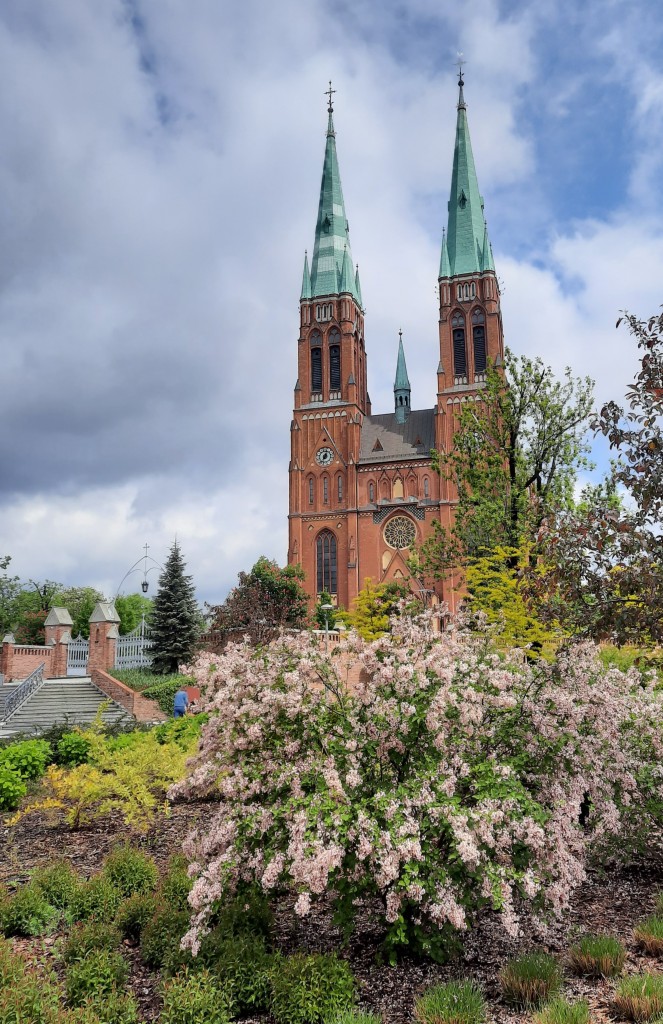 Zdjęcia: Rybnik, -.., ukwiecone miasto, POLSKA Zdjęcia: Rybnik, -.., ukwiecone miasto, POLSKA