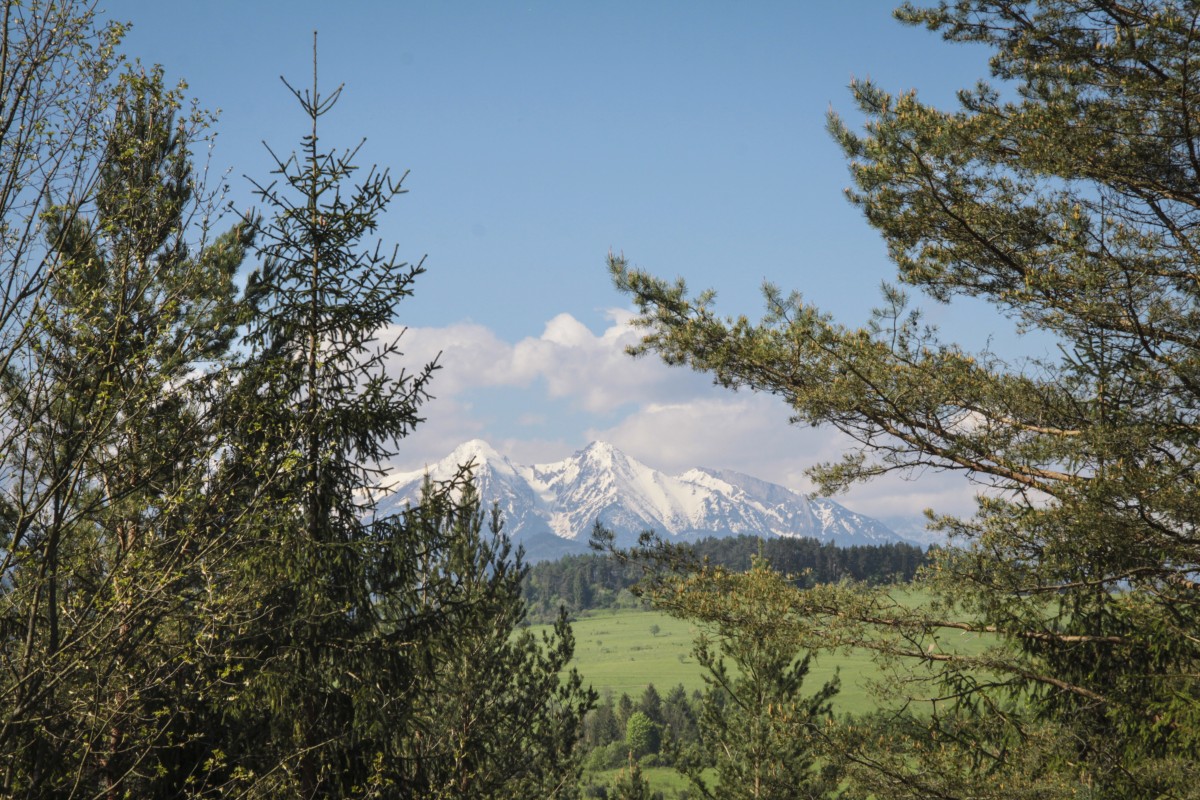 Zdjęcia: Pieniny, Małopolska, Widok na Tatry, POLSKA Zdjęcia: Pieniny, Małopolska, Widok na Tatry, POLSKA