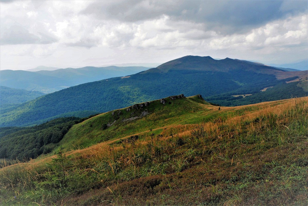 Zdjęcia: szlak Wołosate-Halicz-Tarnica, Bieszczady, w kierunku Siodła..., POLSKA Zdjęcia: szlak Wołosate-Halicz-Tarnica, Bieszczady, w kierunku Siodła..., POLSKA