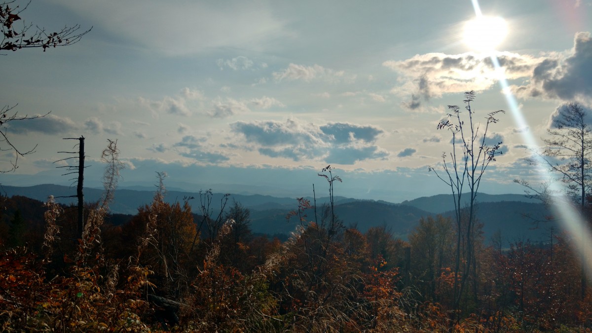 Zdjęcia: GORCE, WIDOK, POLSKA Zdjęcia: GORCE, WIDOK, POLSKA