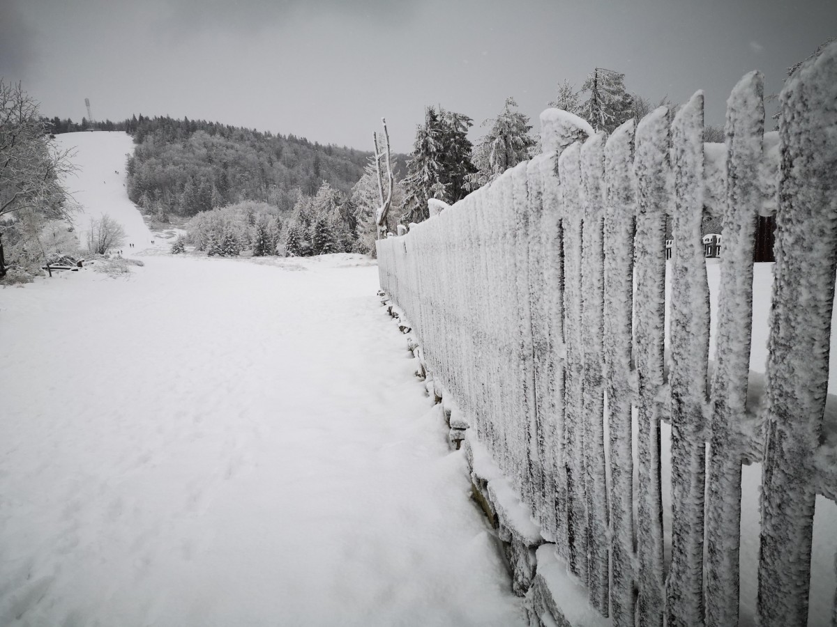 Zdjęcia: Klimczok, Beskid Śląski, W poszukiwaniu zimy.., POLSKA Zdjęcia: Klimczok, Beskid Śląski, W poszukiwaniu zimy.., POLSKA