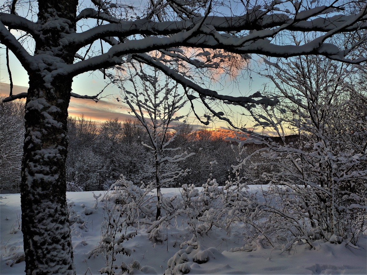 Zdjęcia: na szlaku, Bieszczady, zachód na szlaku, POLSKA Zdjęcia: na szlaku, Bieszczady, zachód na szlaku, POLSKA