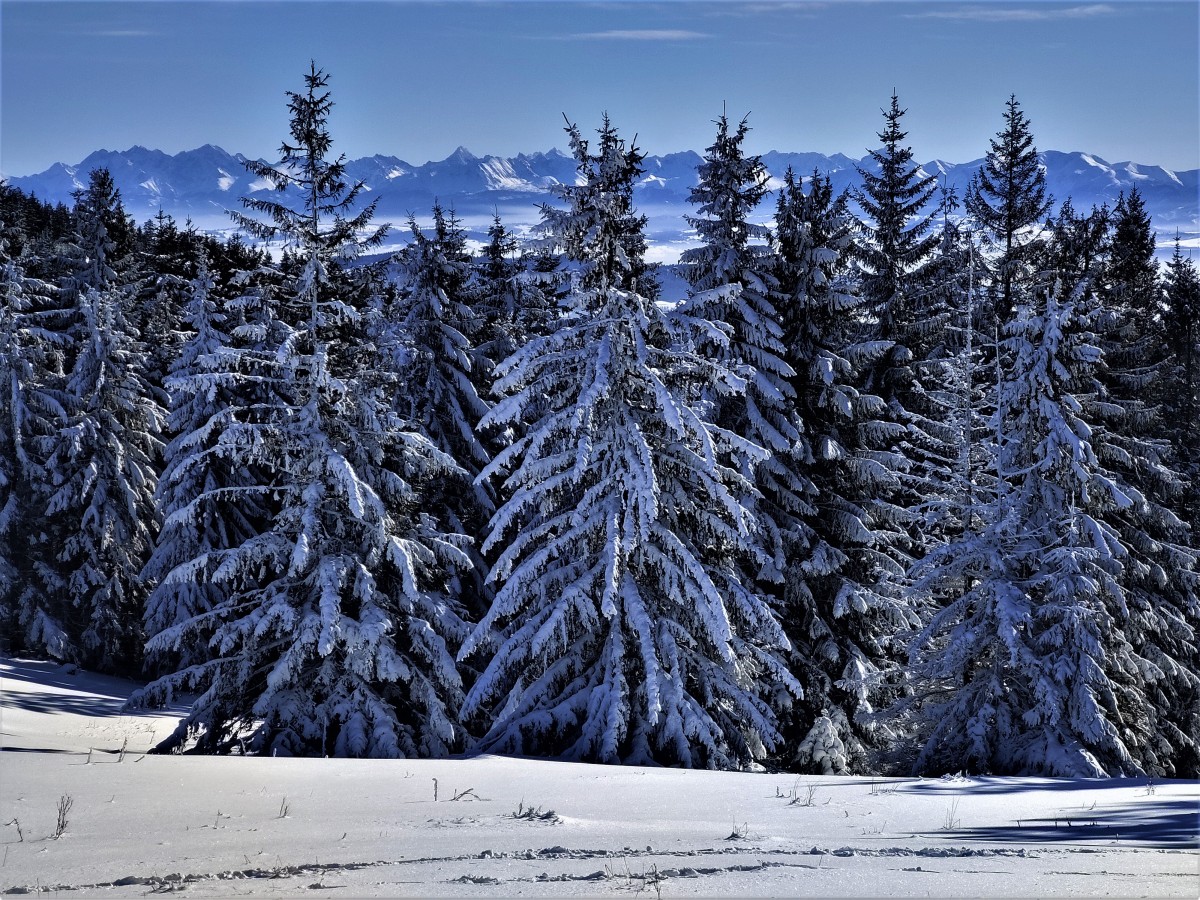 Zdjęcia: Pasmo Policy, Beskid żywiecki, widok z hali krupowej , POLSKA Zdjęcia: Pasmo Policy, Beskid żywiecki, widok z hali krupowej , POLSKA