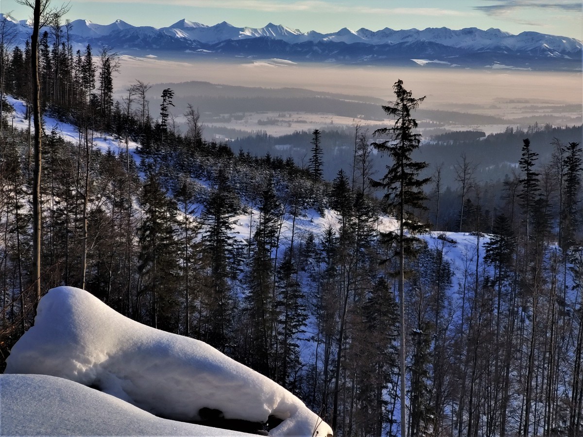 Zdjęcia: Pasmo Policy, Beskid żywiecki, takie cuda w drodze na szczyt , POLSKA Zdjęcia: Pasmo Policy, Beskid żywiecki, takie cuda w drodze na szczyt , POLSKA