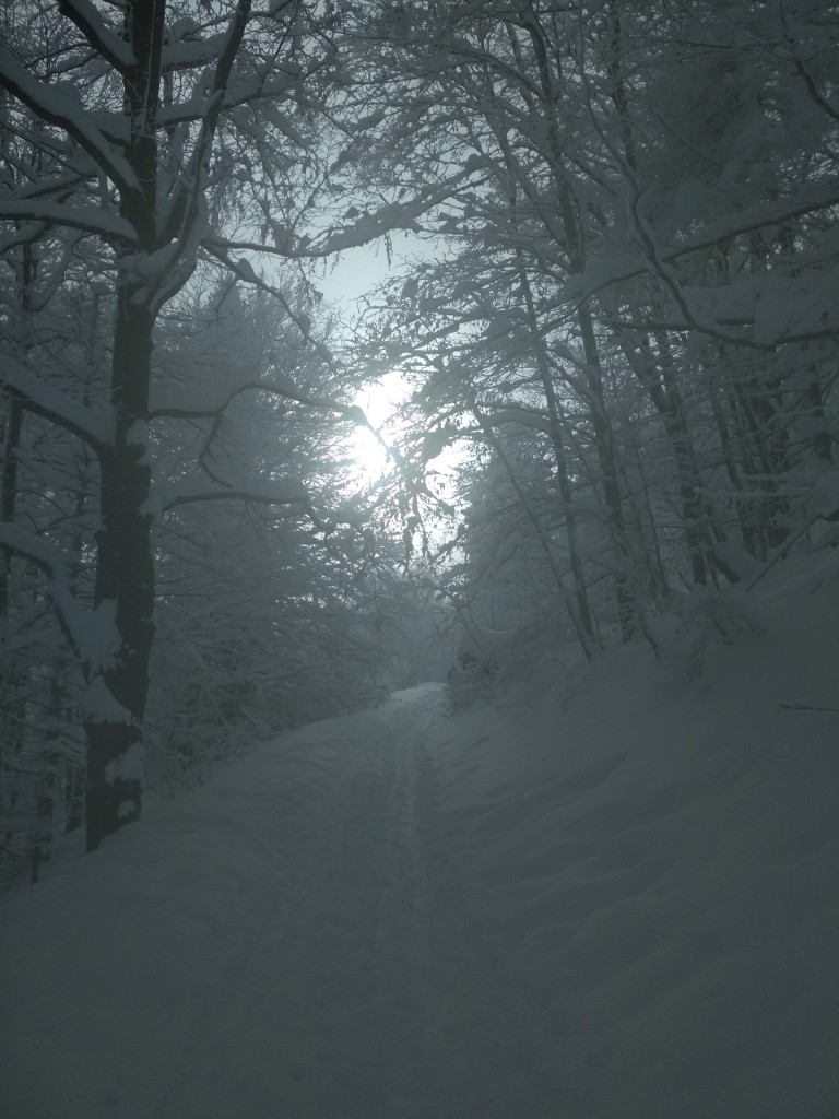 Zdjęcia: Czantoria Wielka, Beskid Śląski, Zima, POLSKA Zdjęcia: Czantoria Wielka, Beskid Śląski, Zima, POLSKA