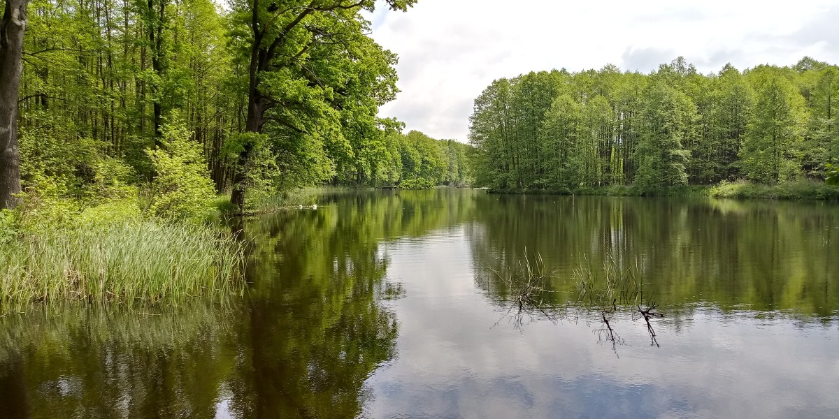 Zdjęcia: Krośnice, Dolina Baryczy, Aby do wiosny, POLSKA Zdjęcia: Krośnice, Dolina Baryczy, Aby do wiosny, POLSKA