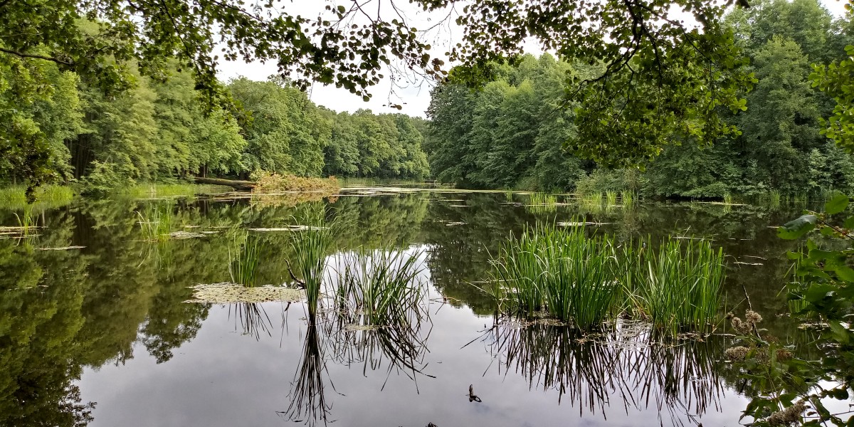 Zdjęcia: Krośnice, Dolina Baryczy, No cóż..., POLSKA Zdjęcia: Krośnice, Dolina Baryczy, No cóż..., POLSKA
