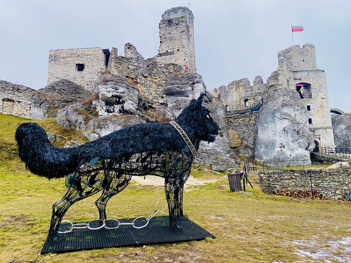 Zdjęcia: Zamek Ogrodzieniec , Ogrodzieniec , Czarny pies Ogrodzieniec , POLSKA Zdjęcia: Zamek Ogrodzieniec , Ogrodzieniec , Czarny pies Ogrodzieniec , POLSKA