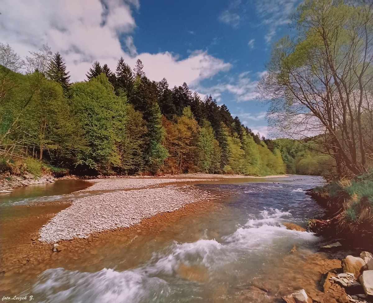 Zdjęcia: gmina Cisna i Solina., Bieszczady., Rezerwat "Sine Wiry", POLSKA Zdjęcia: gmina Cisna i Solina., Bieszczady., Rezerwat "Sine Wiry", POLSKA