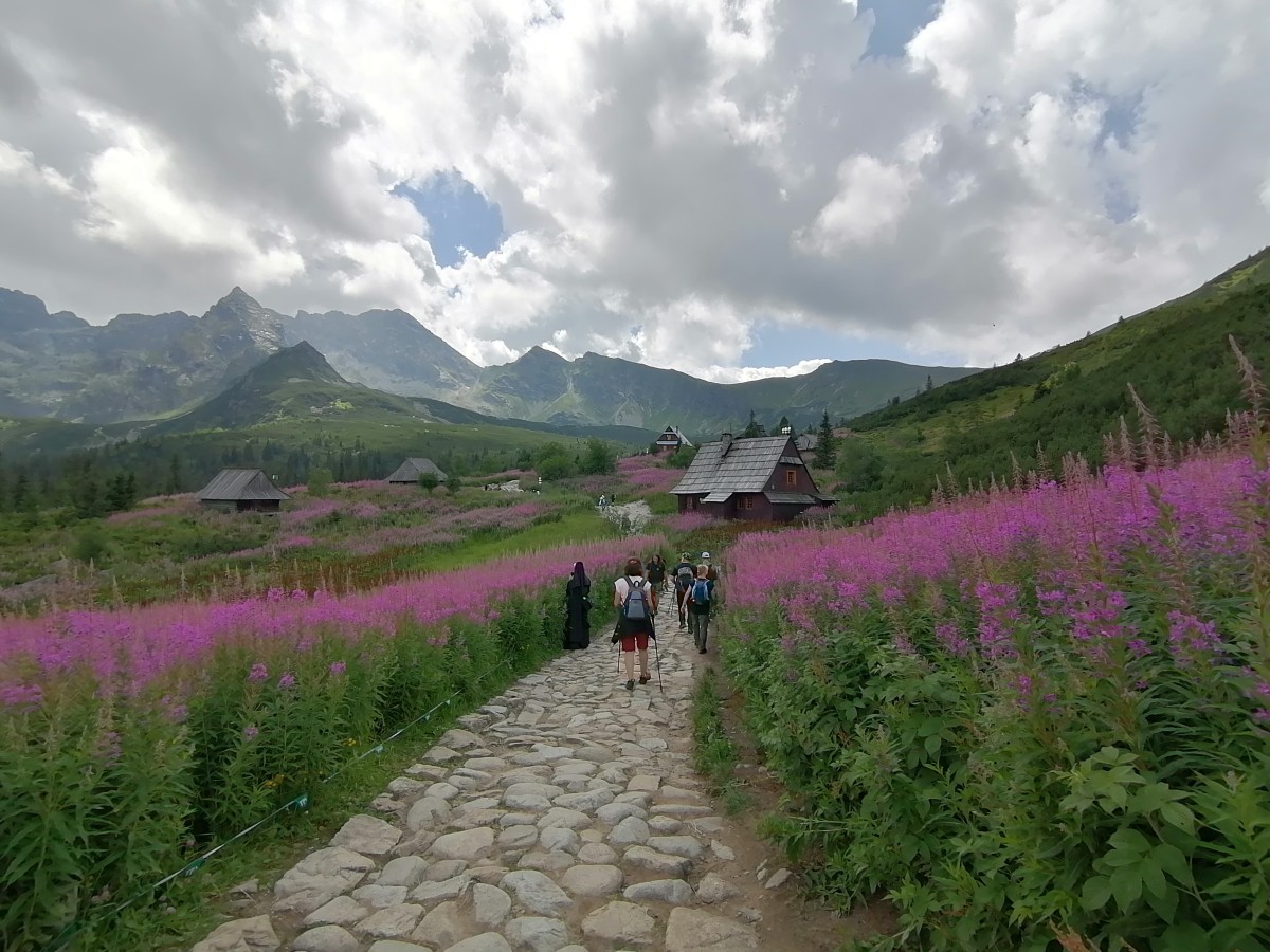 Zdjęcia: Dolina G±sienicowa, Tatry, Dolina G±sienicowa, POLSKA Zdjęcia: Dolina G±sienicowa, Tatry, Dolina G±sienicowa, POLSKA