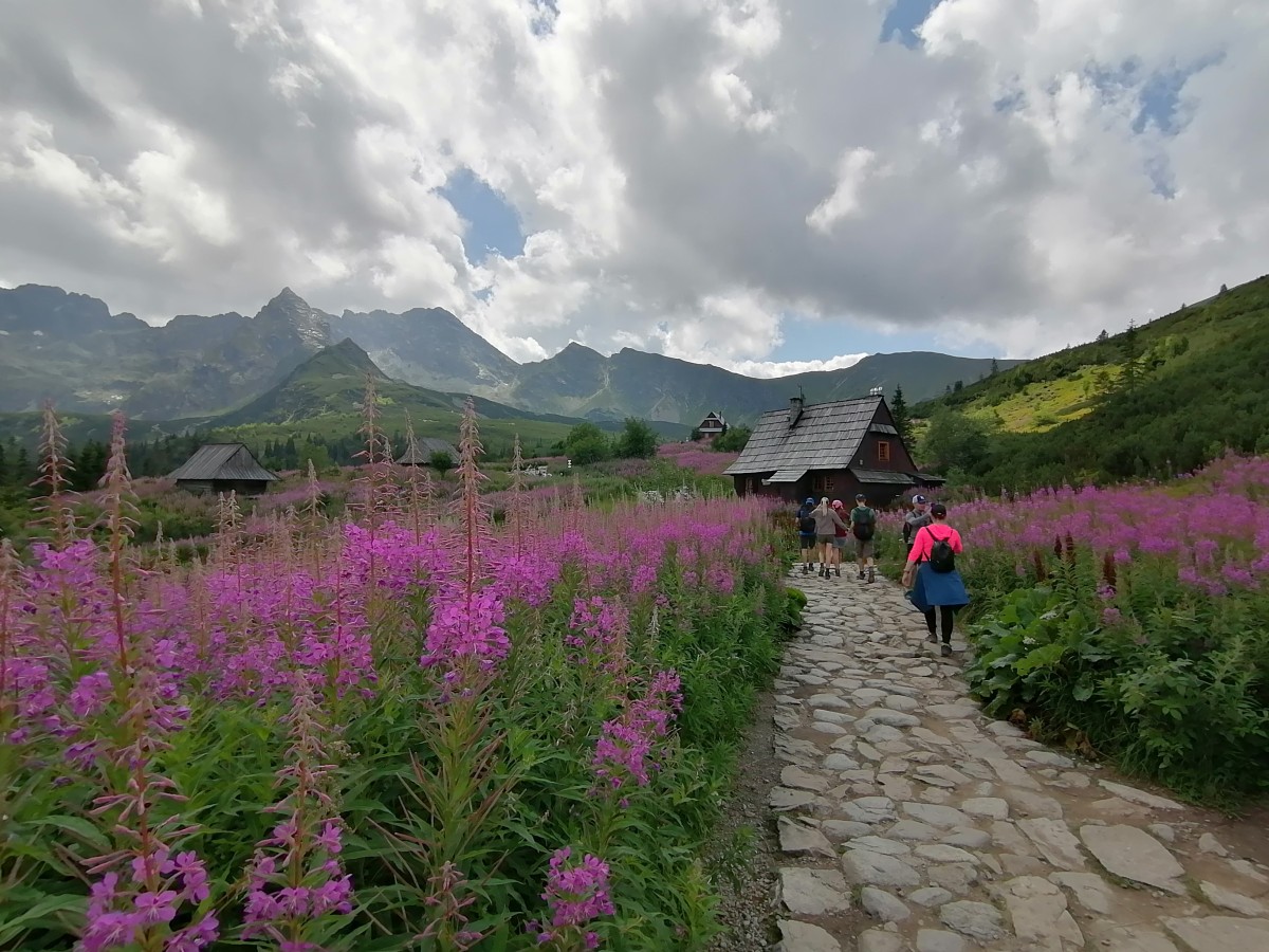 Zdjęcia: Hala G±sienicowa, Tatry Wysokie, Betlejemka, POLSKA Zdjęcia: Hala G±sienicowa, Tatry Wysokie, Betlejemka, POLSKA