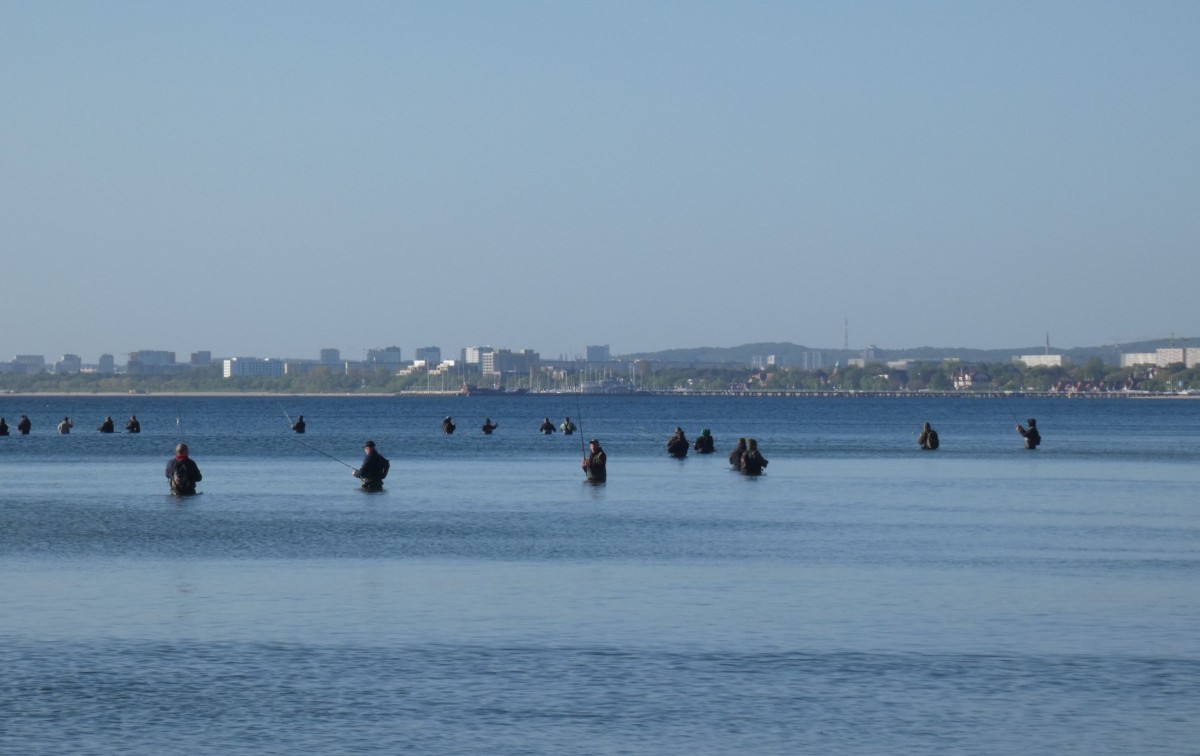 Zdjęcia: Gdynia, Pomorskie, O poranku, POLSKA Zdjęcia: Gdynia, Pomorskie, O poranku, POLSKA