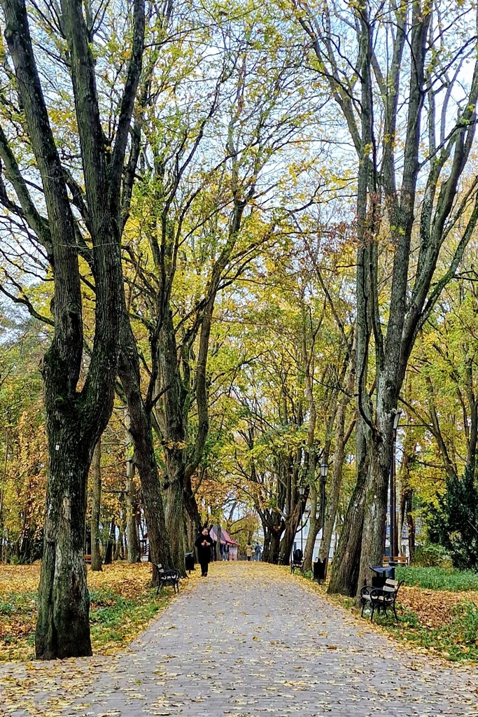 Zdjęcia: Kołobrzeg, Województwo Zachodniopomorskie, Kołobrzeg w listopadzie 1, POLSKA Zdjęcia: Kołobrzeg, Województwo Zachodniopomorskie, Kołobrzeg w listopadzie 1, POLSKA