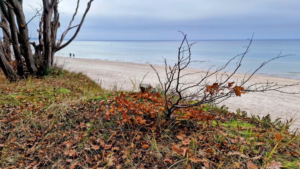 Zdjęcia: Kołobrzeg, Województwo Zachodniopomorskie, Kołobrzeg w listopadzie 3, POLSKA Zdjęcia: Kołobrzeg, Województwo Zachodniopomorskie, Kołobrzeg w listopadzie 3, POLSKA