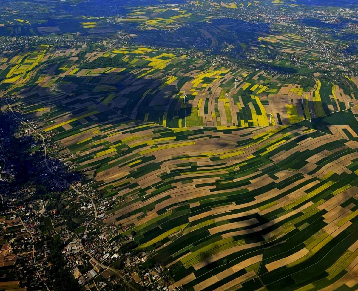 Zdjęcia: okolice Rzeszowa, Rzepakowy patchwork, POLSKA Zdjęcia: okolice Rzeszowa, Rzepakowy patchwork, POLSKA