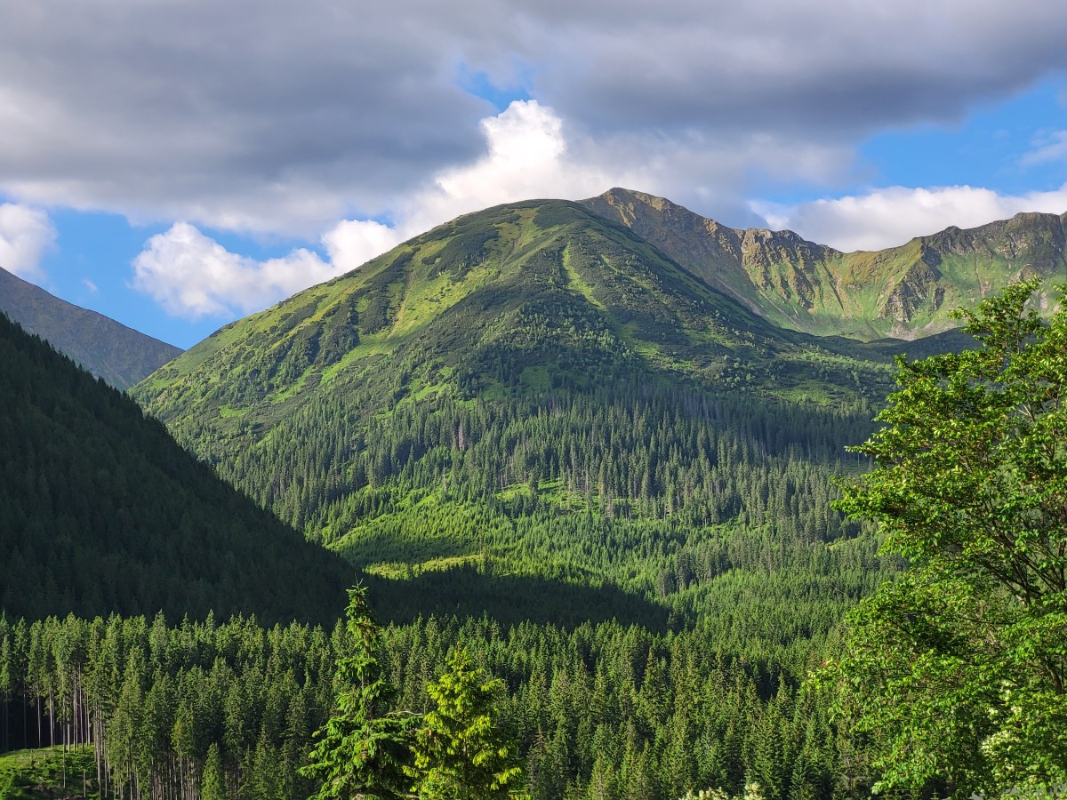 Zdjęcia: Polana Chochołowska Wyżnia, Tatry Zachodnie, Widok na Łopatę, POLSKA Zdjęcia: Polana Chochołowska Wyżnia, Tatry Zachodnie, Widok na Łopatę, POLSKA