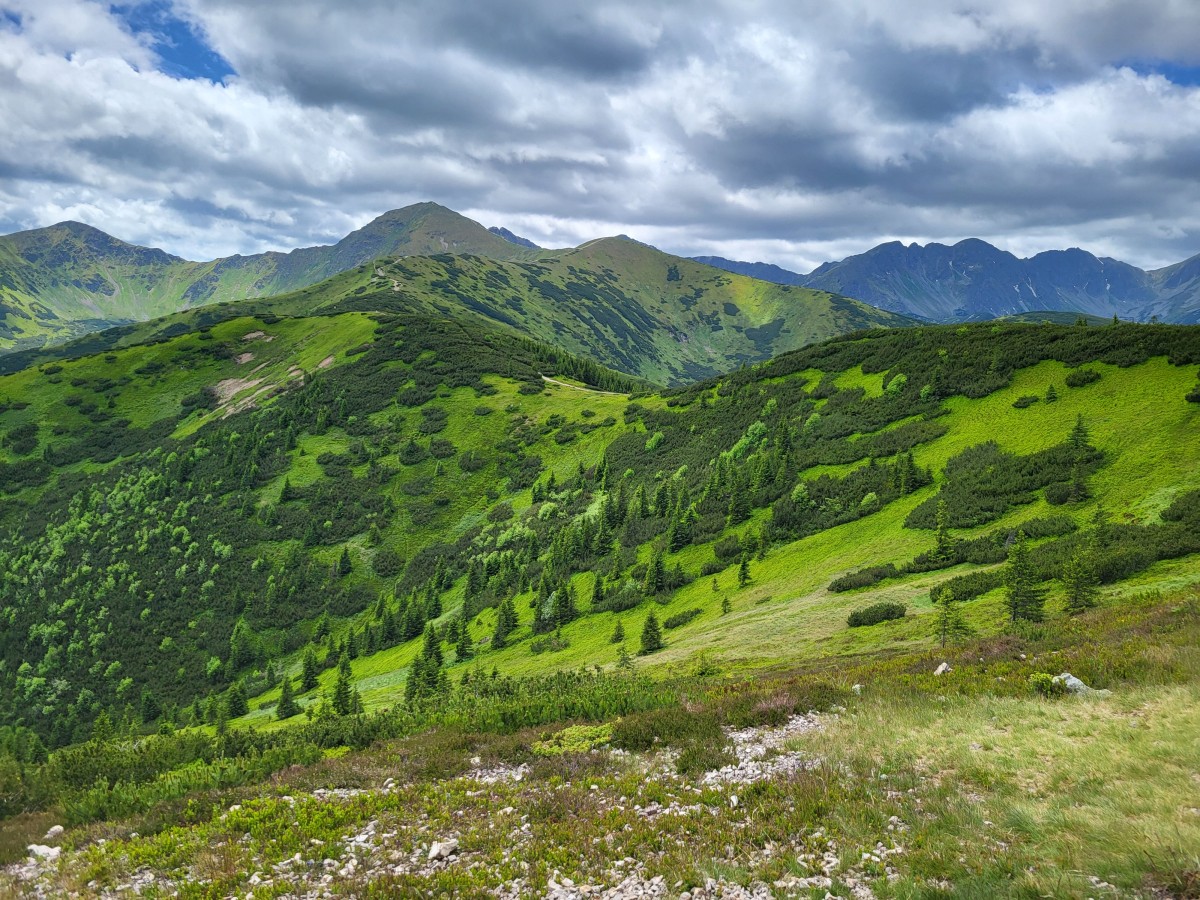 Zdjęcia: Grześ, Tatry Zachodnie, Widok na Wołowiec i Rohacze, POLSKA Zdjęcia: Grześ, Tatry Zachodnie, Widok na Wołowiec i Rohacze, POLSKA