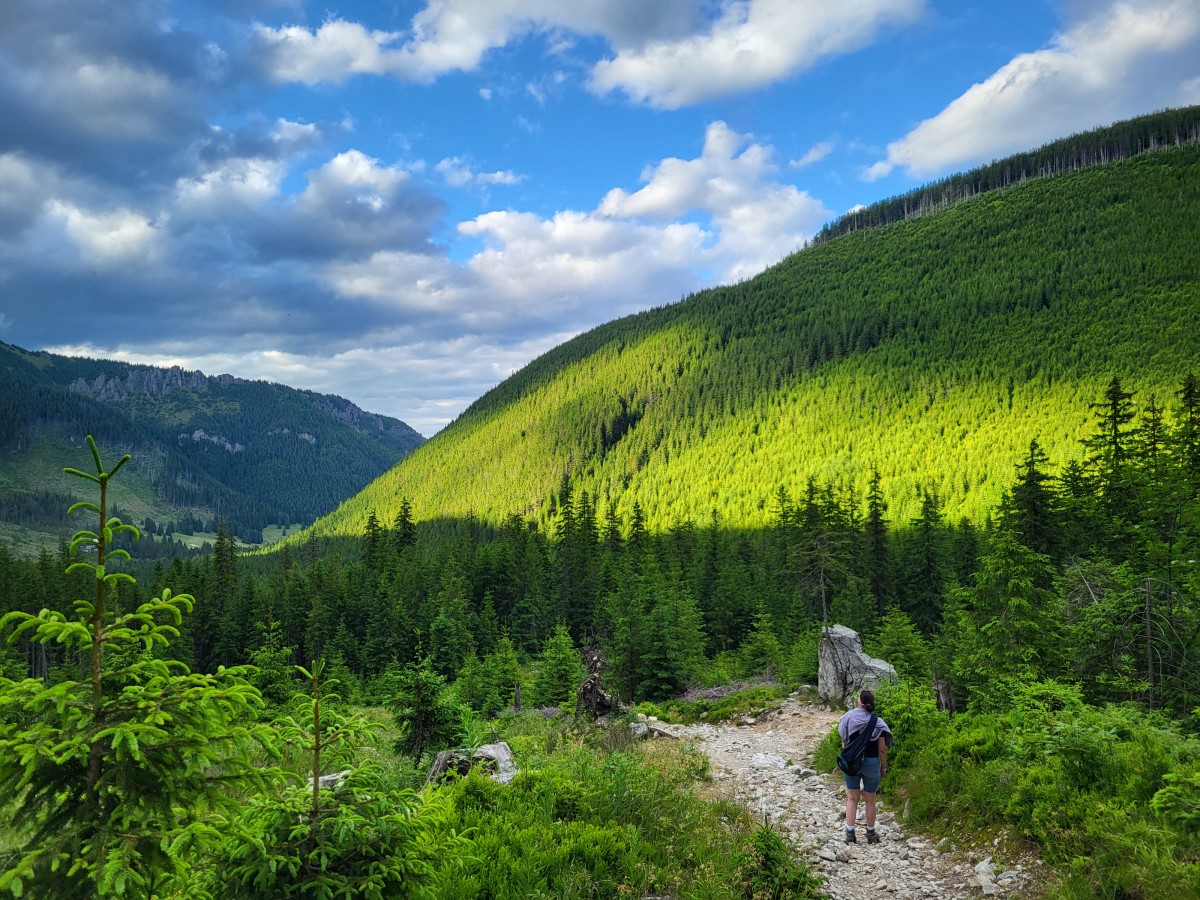 Zdjęcia: Polana Chochołowska Wyżnia, Tatry Zachodnie, Powrót z gór, POLSKA Zdjęcia: Polana Chochołowska Wyżnia, Tatry Zachodnie, Powrót z gór, POLSKA