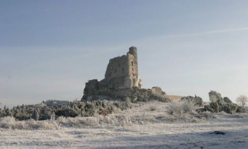 Zdjecie POLSKA / Jura Krakowsko-Czstochowska / Mirw / Zamek Mirw zim