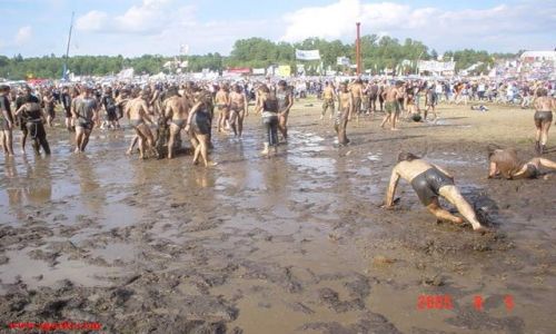 Zdjecie POLSKA / brak / Woodstock / Woodstock