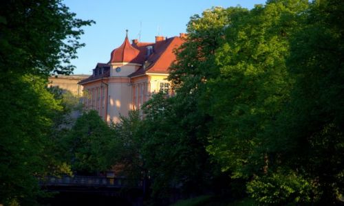 Zdjecie POLSKA / - / Gliwice / Uroki Gliwic