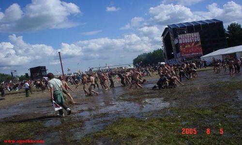 Zdjecie POLSKA / brak / Woodstock / Woodstock