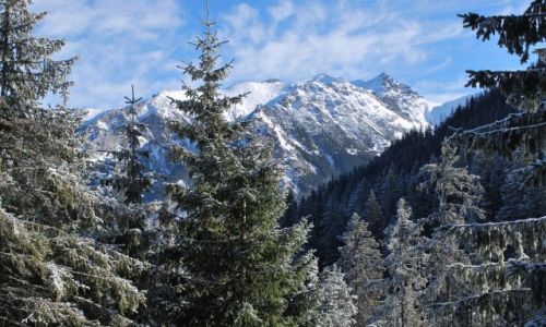 Zdjecie POLSKA / Tatry / Droga do Morskiego / Nasze Grki