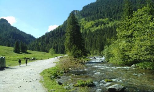 Zdjcie POLSKA / TATRY POLSKIE / DOLINA KOSCIELISKA / Hala Pisana w Dolinie Koscieliskiej