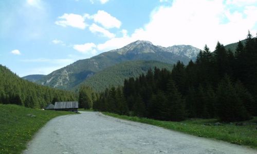 Zdjecie POLSKA / Tatry Polskie / Polana Chocholowska / Kominiarski Wierch