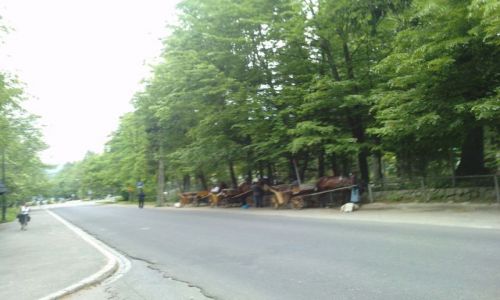 Zdjecie POLSKA / Podhale / Zakopane ul. Przewodnikw Tatrzaskich / Fiakry przy ul. Przewodnikw Tatrzaskich