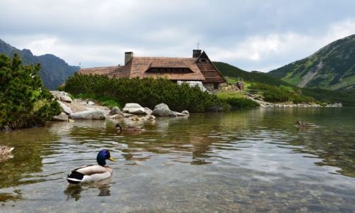 Zdjęcie POLSKA / Tatry / Schronisko przy 5-ciu stawach / Na Przednim Stawie