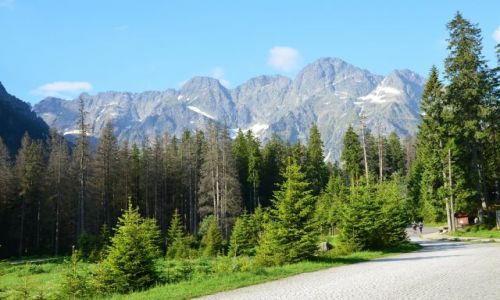 Zdjcie POLSKA / Tatry / Dolina Rybiego Potoku / Tatrzaskie pejzae