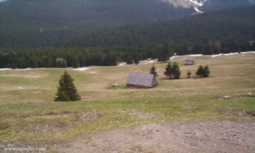 Zdjecie POLSKA / brak / Zakopane / Tatry