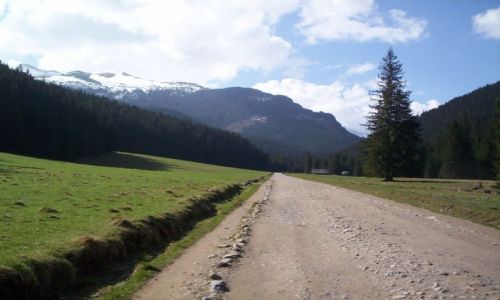 Zdjecie POLSKA / brak / Tatry / Tatry