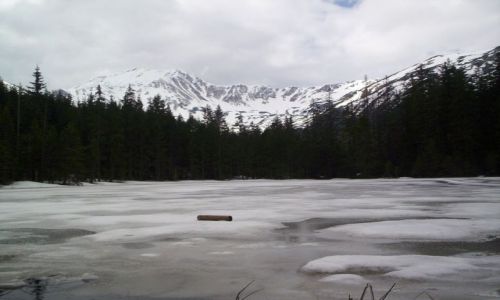 Zdjecie POLSKA / brak / Tatry / Tatry
