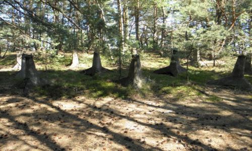 Zdjęcie POLSKA / Gmina Magnuszew/Powiat Kozienicki/woj. mazowieckie / Mniszew / Skansen w Mniszewie