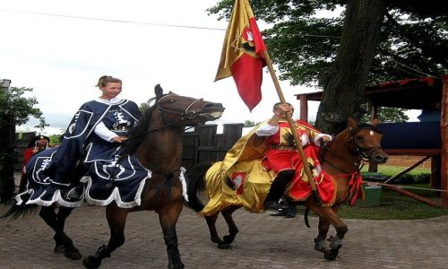 Zdjecie POLSKA / Kujawsko - Pomorskie / Golub - Dobrzy / 35 Turniej Rycerski - finay